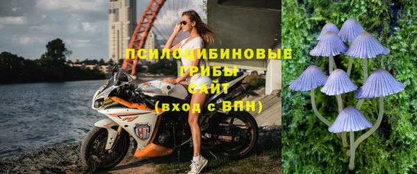 скорость mdpv Белокуриха